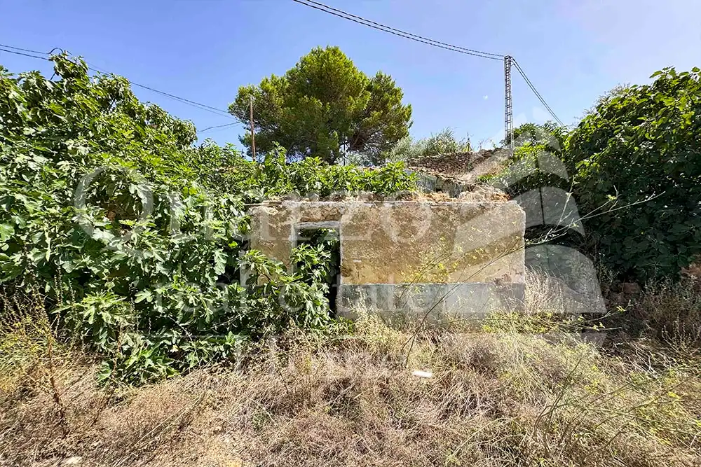 House with garden for sale in Calle Proyecto Número 3, imagen 6