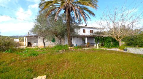 Foto 2 de Finca rústica en venta en Pollença Poble, Pollença