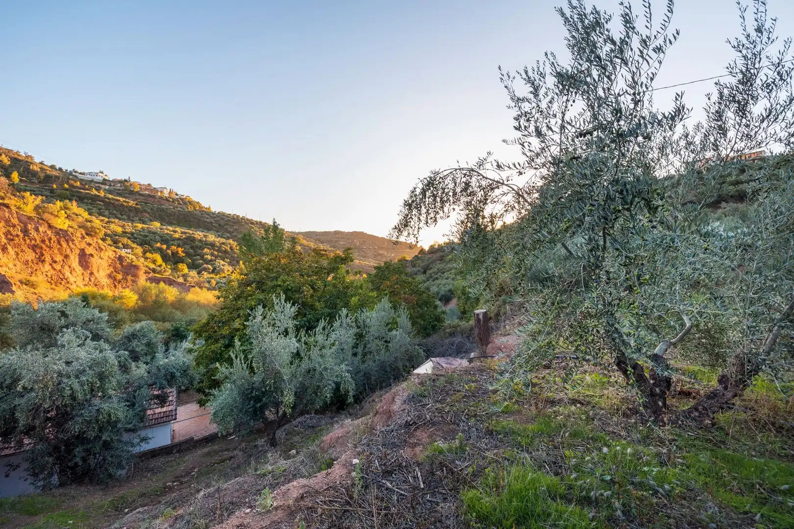 Casa o xalet en venda en Cogollos de la Vega