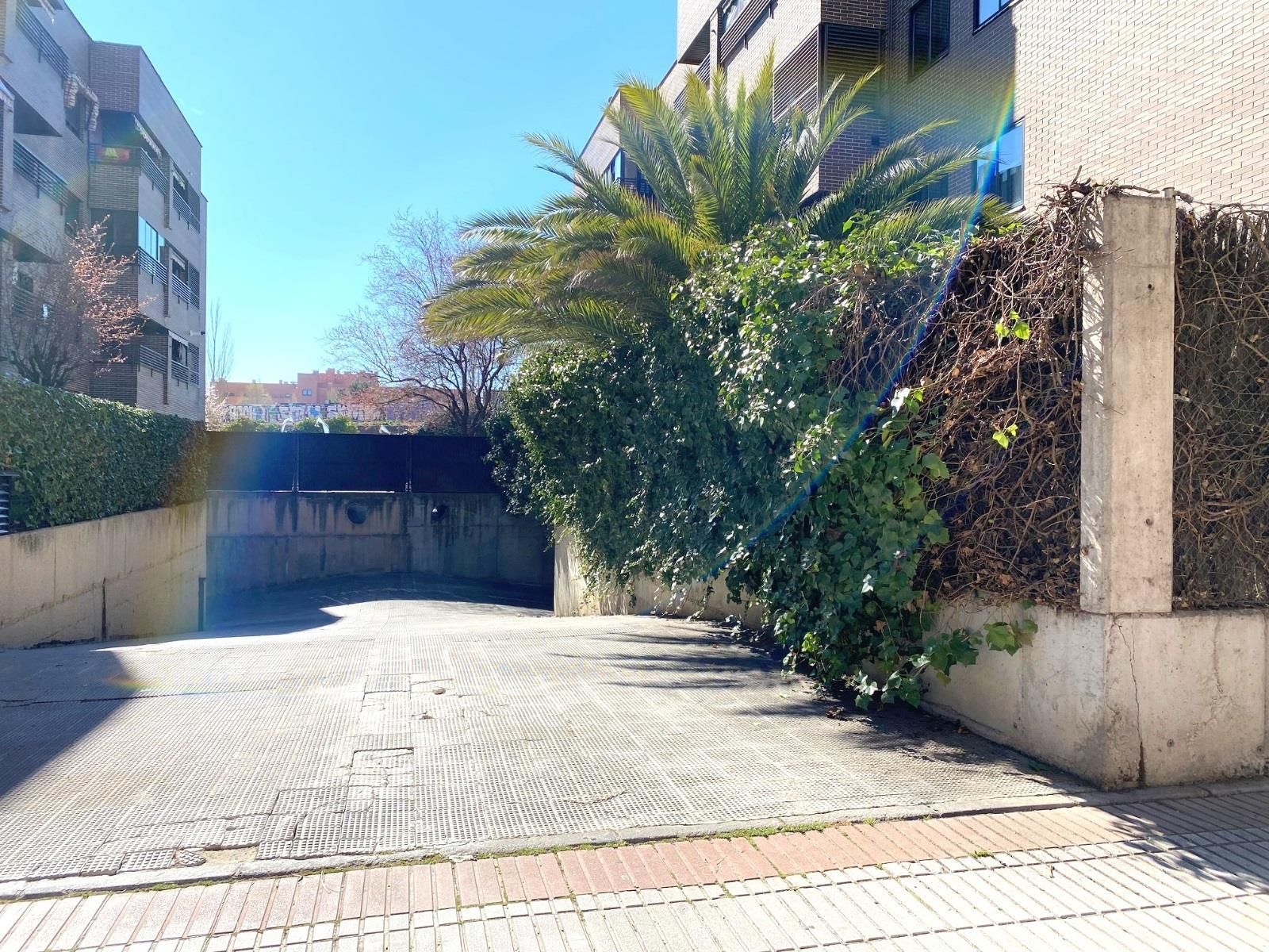 Parking of Garage to rent in  Madrid Capital
