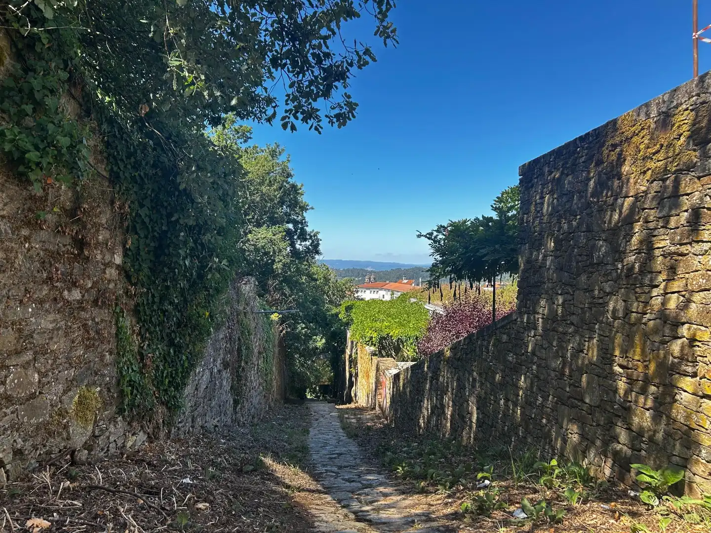 Vista exterior de Pis en venda en Santiago de Compostela  amb Calefacció i Terrassa