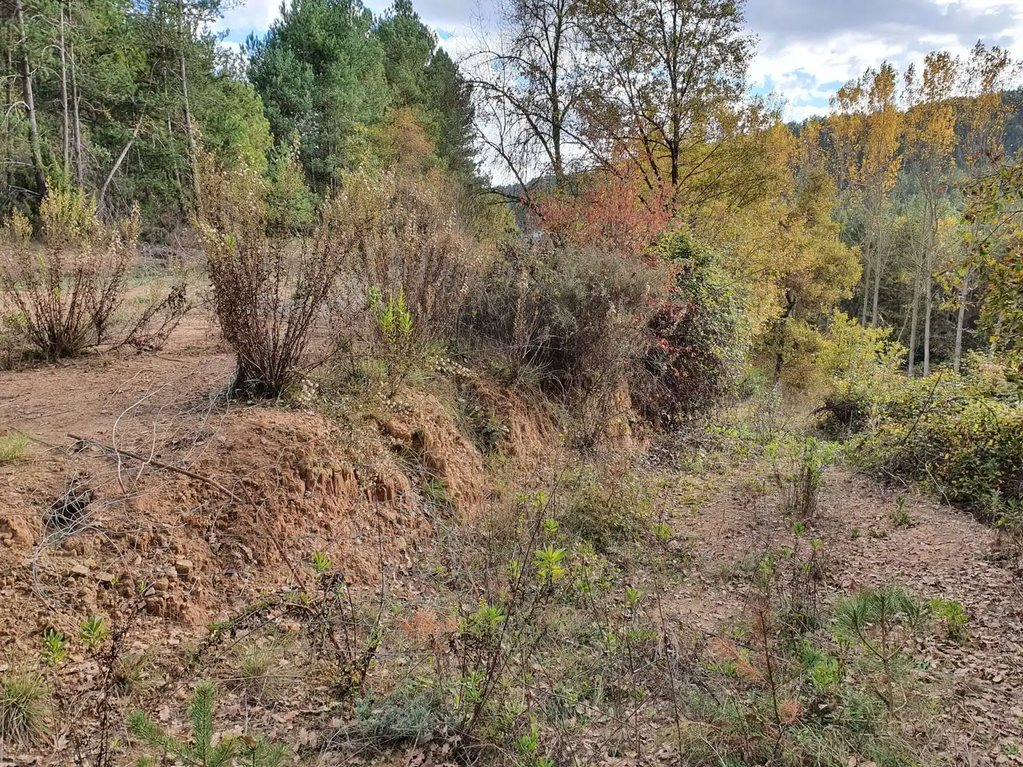 Grundstücke zum Verkauf in Solsona