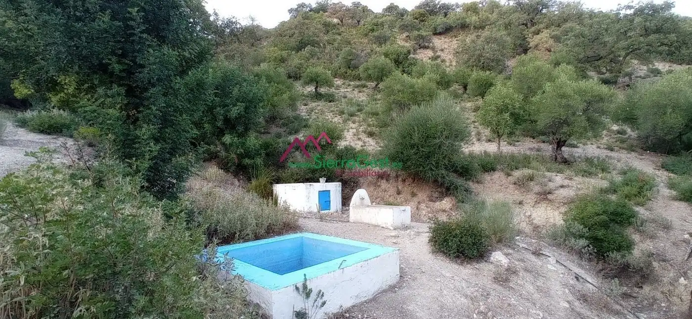 Terreni e lotti in vendita a Benaocaz, imagen 37
