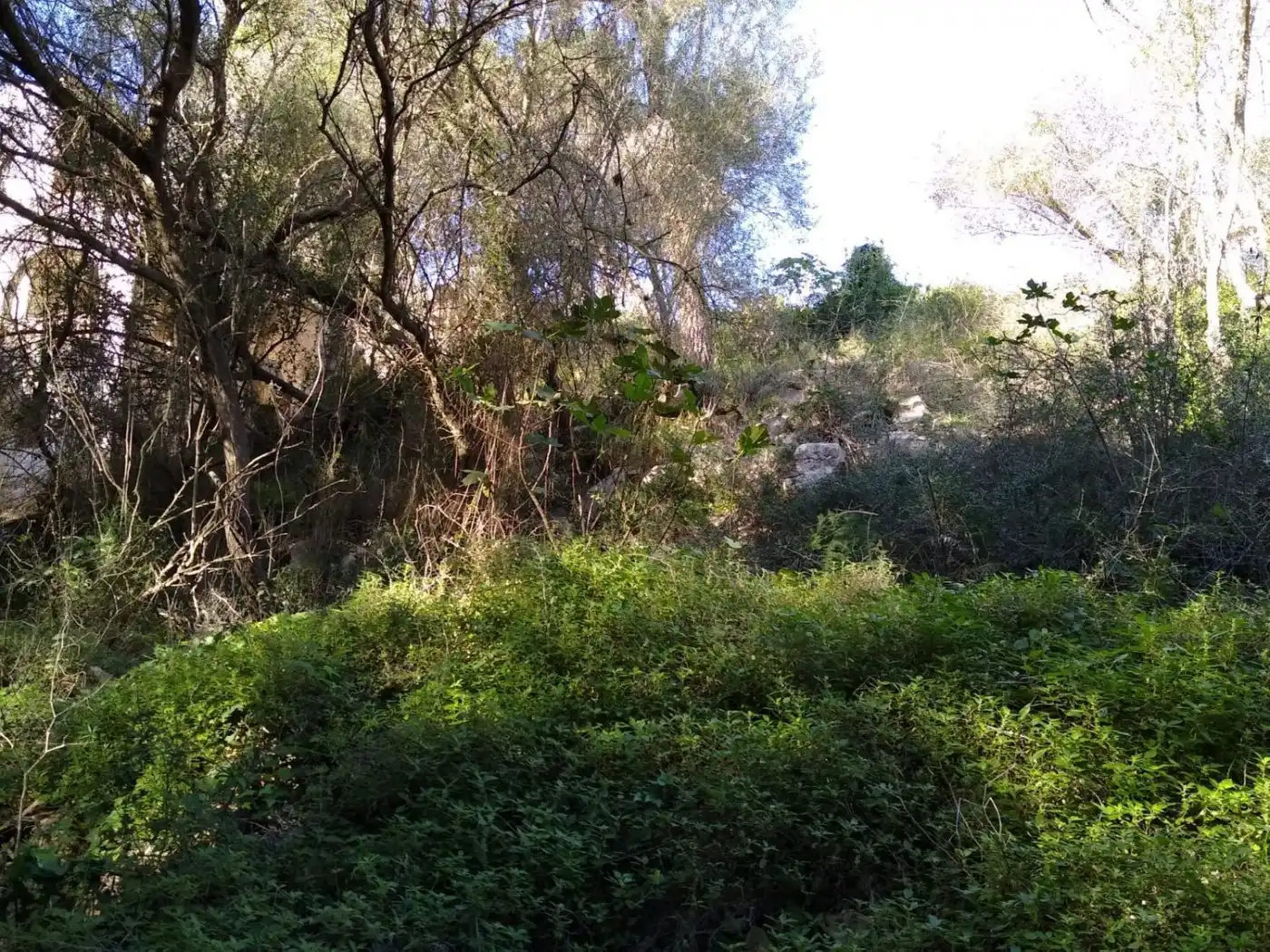Residencial en venta en Santanyí