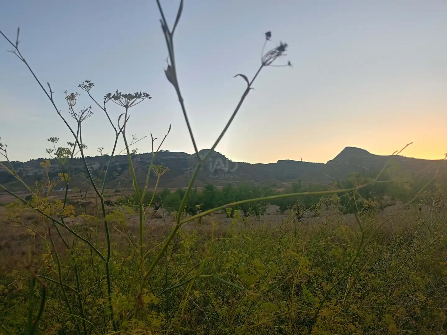 Country homes for sale in Lorca