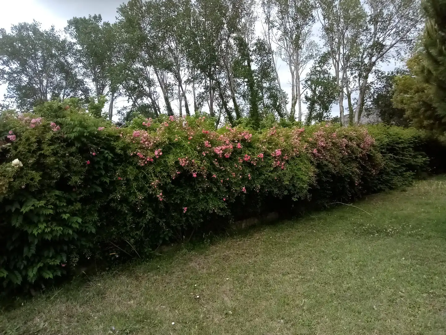 Terrenys i solars en venda a Ullà, imagen 17