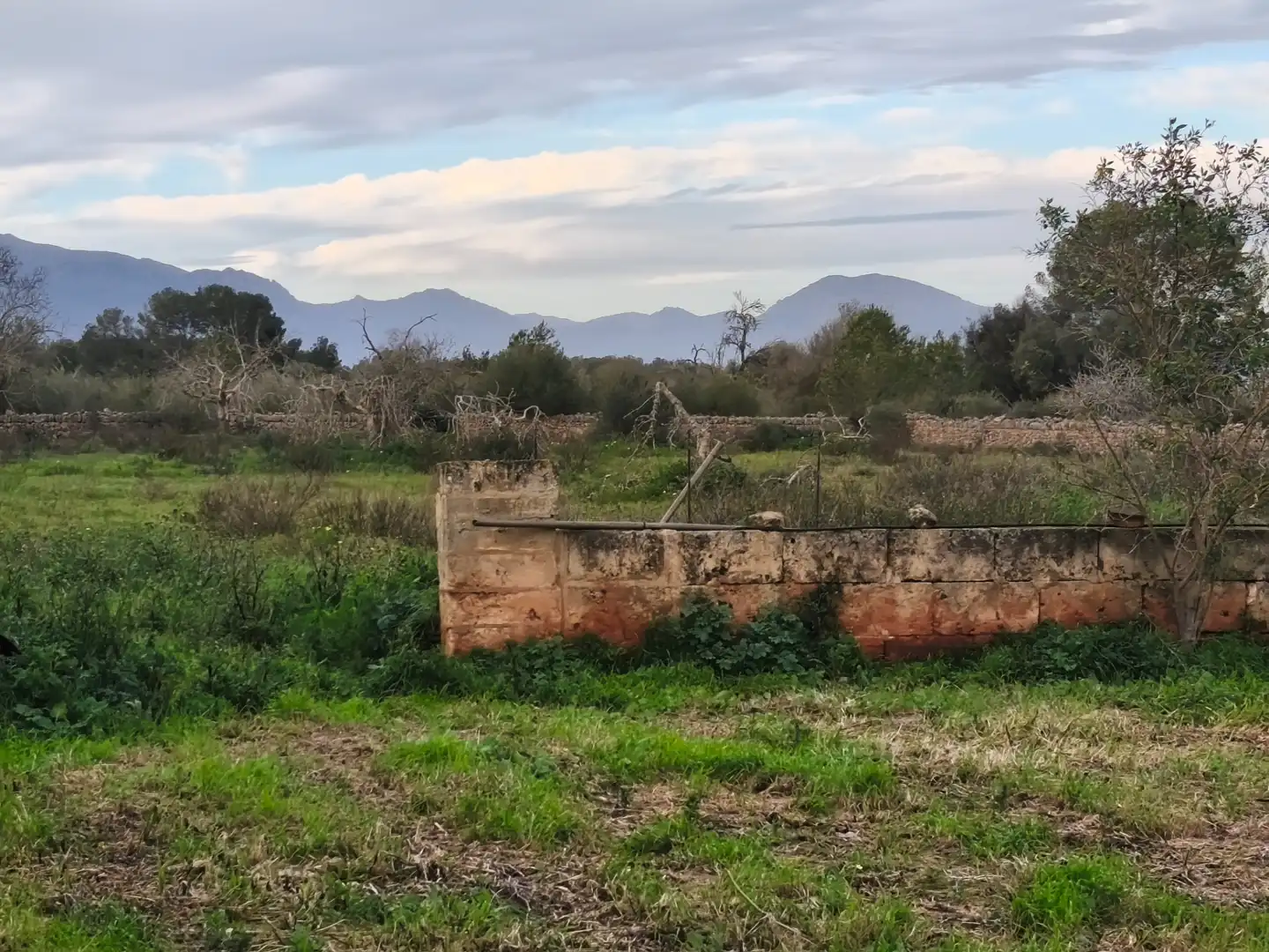 House with garden for sale in Algaida, imagen 13