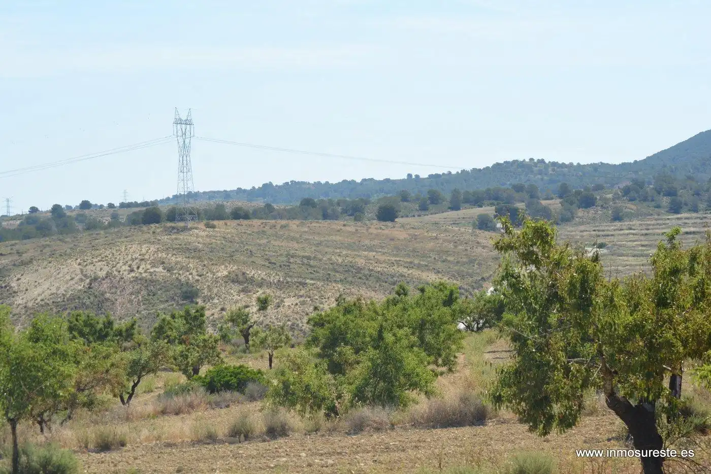 Terreno rustico in vendita a Campo de Murcia, imagen 16