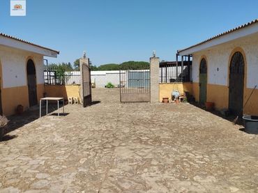 Terrenos y solares en venta en Pelagatos - Pago del Humo