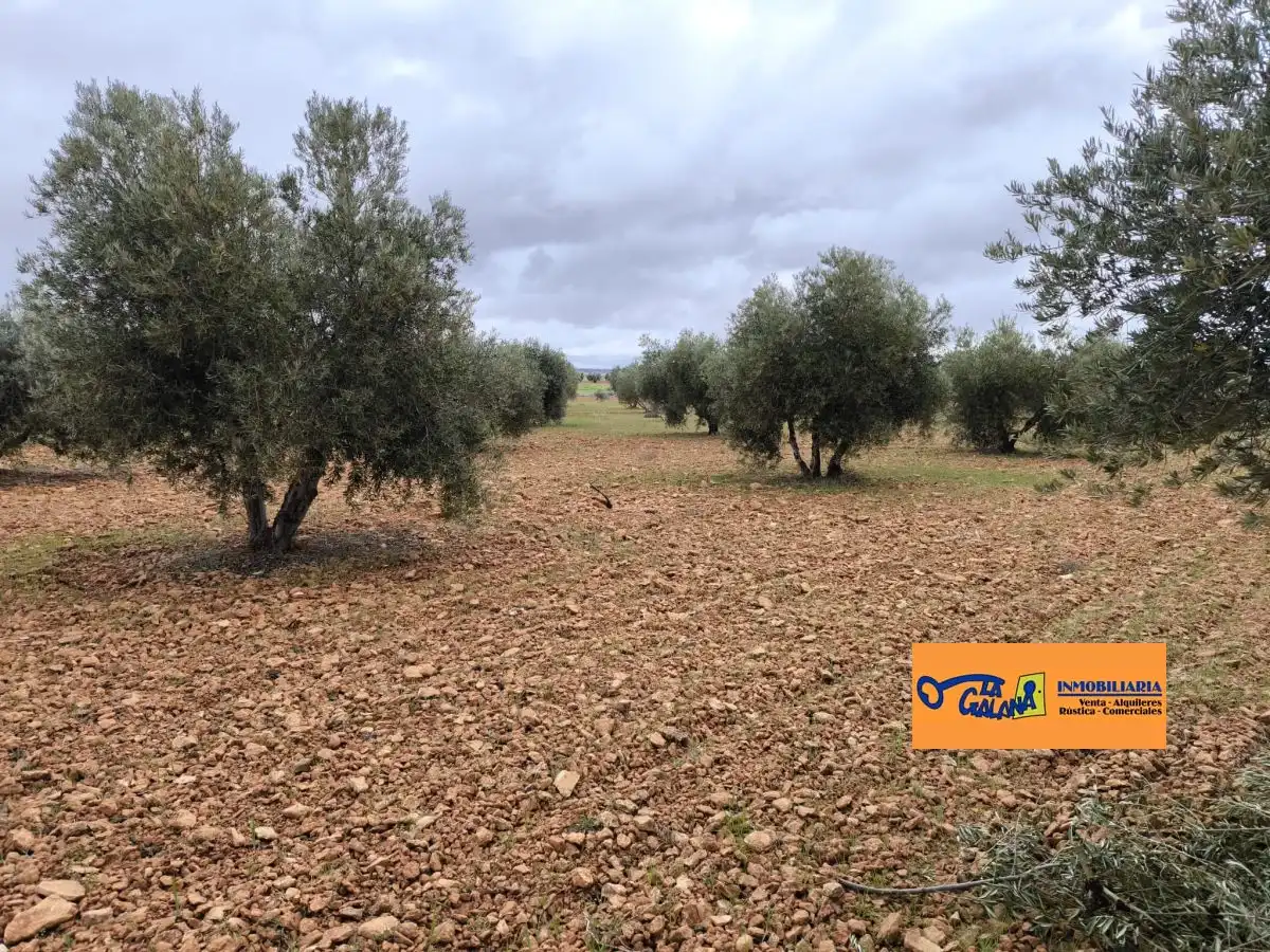 Chalet en venta en Valdepeñas, imagen 25