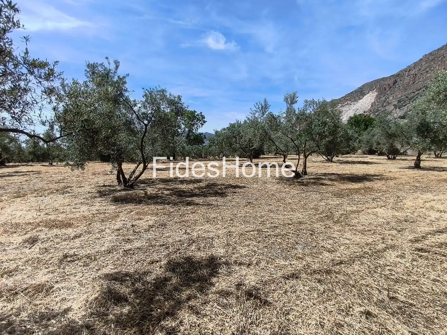 Rural land for sale in XFJ3+526 Nigüelas 0, imagen 27