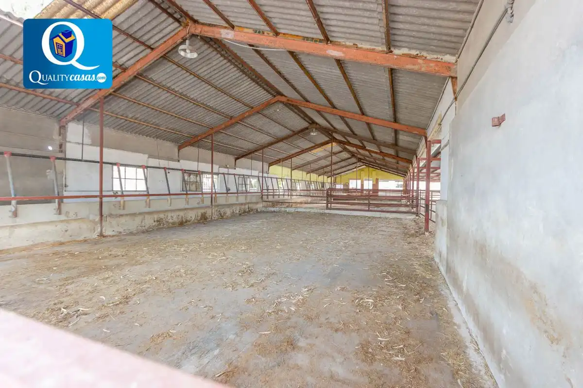 Chalet en venta en Partidas de Alicante, imagen 38
