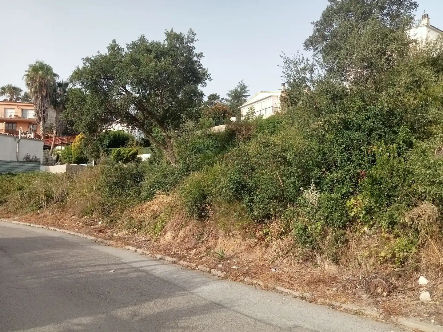 Terrenos y solares en venta en Lloret Blau - La Creu de Lloret, imagen 4