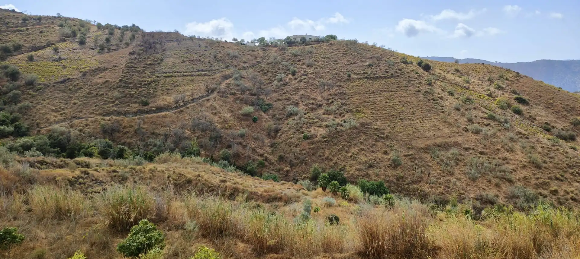 Terrenys i solars en venda a Canillas de Aceituno, imagen 3