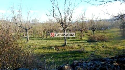 Foto 4 de Residencial en venda a De la Cebollita, 35, Cercedilla, Madrid