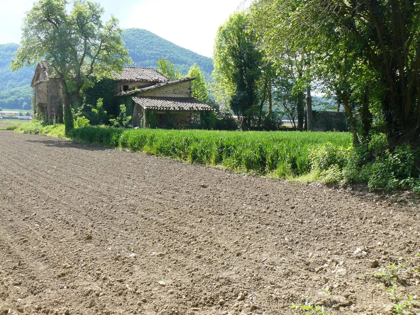 Finca rústica en venta en Les Preses