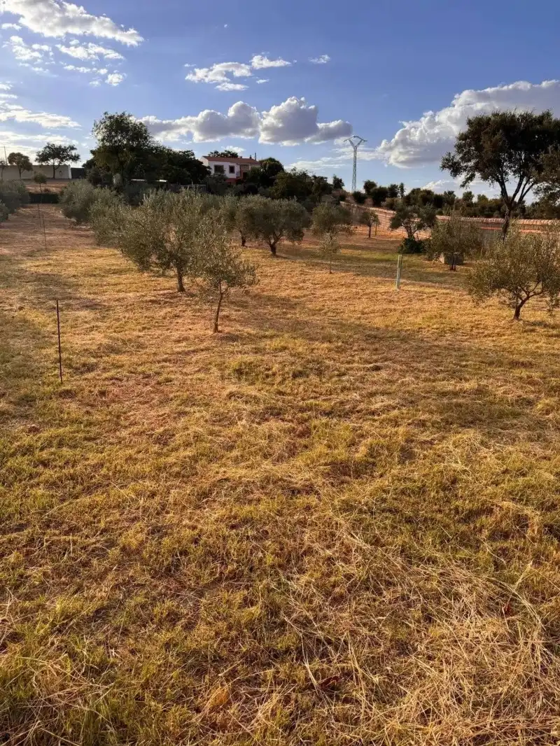 Terreni e lotti in vendita a Montesol - Mejostilla, imagen 18