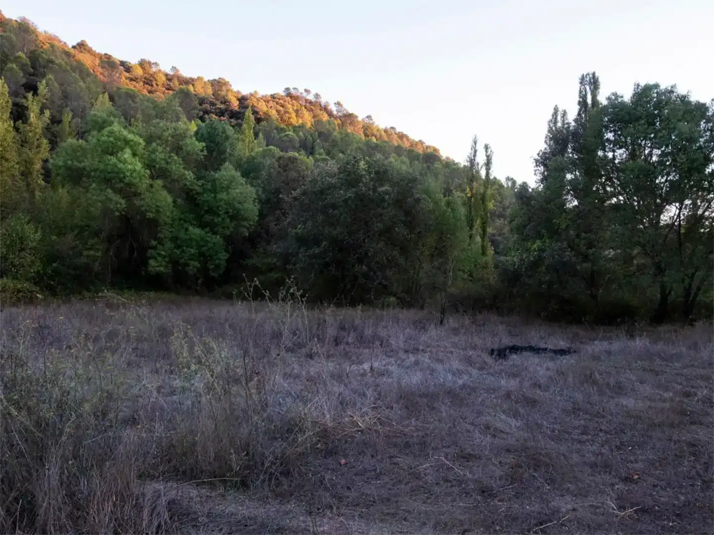 Casa o chalet en venta en Santo Tomé