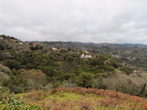 Country homes for sale in Calle el Tabuco, 28, Valleseco