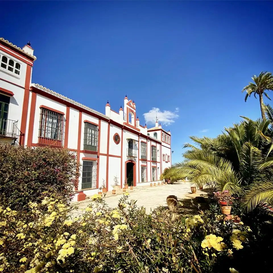 Country house with terrace for sale in Morón de la Frontera, imagen 41