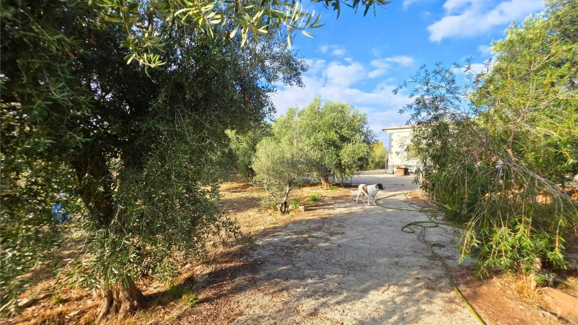 Casa o xalet en venda en Laujar de Andarax, Almería