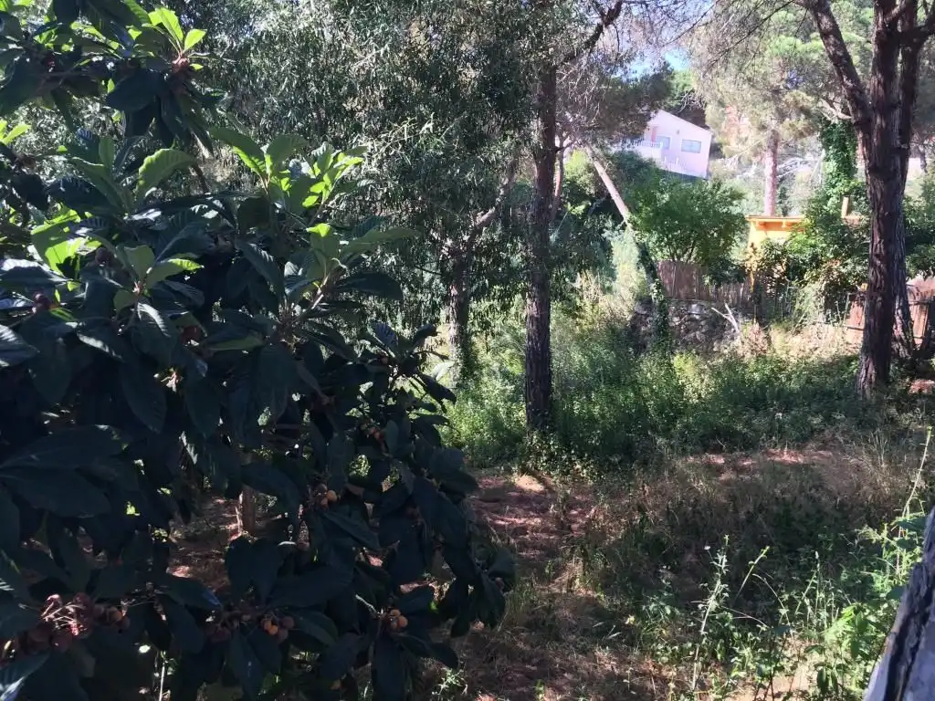 Wohnbaugrundstück zum Verkauf in Calle Benidorm, imagen 6