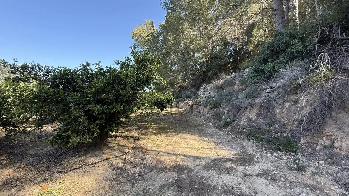 Finca rústica en venta en La Llosa de Ranes con Terraza, Trastero y Piscina