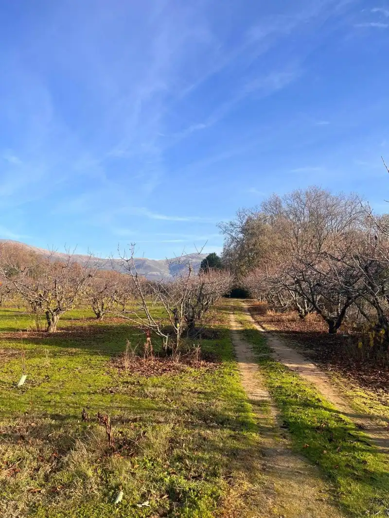 Casa o chalet en venta en Cuacos de Yuste con Piscina