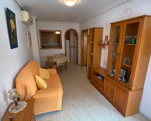 Sala d'estar de Casa o xalet en venda en Pilar de la Horadada amb Aire condicionat