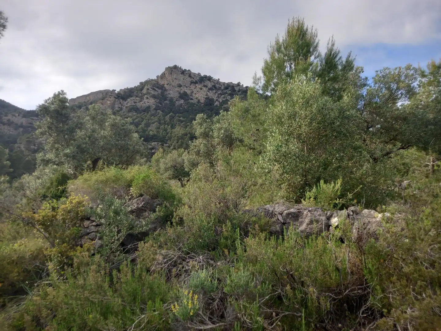 Rural land for sale in El Pinell de Brai, imagen 32