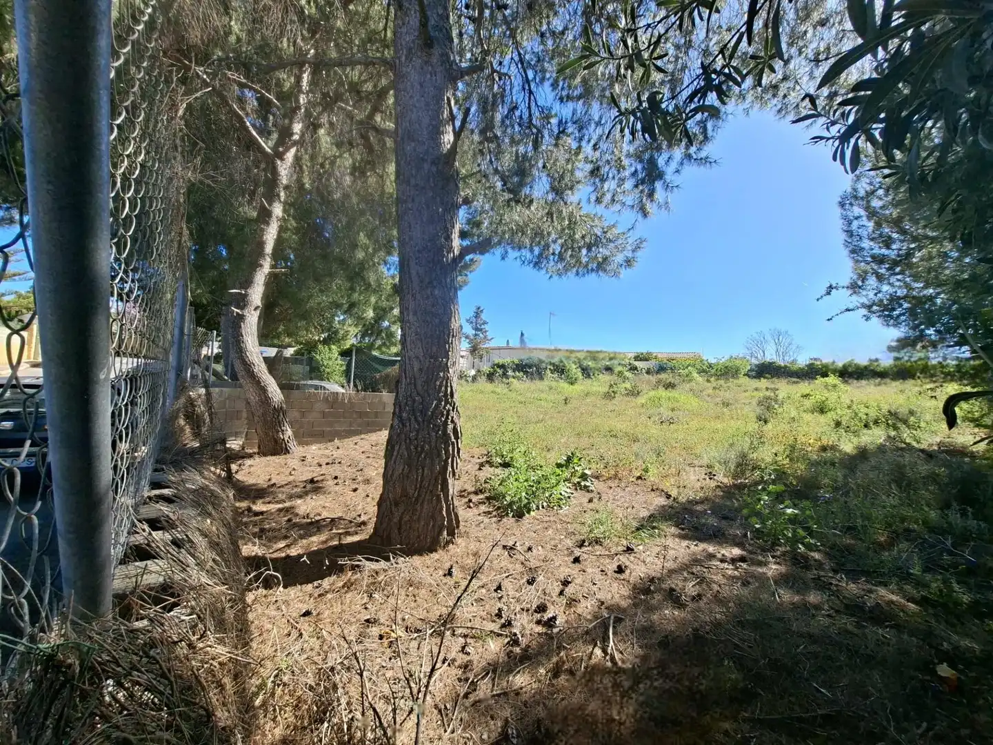 Terreno rustico in vendita a La Conarda - Montesano, imagen 5