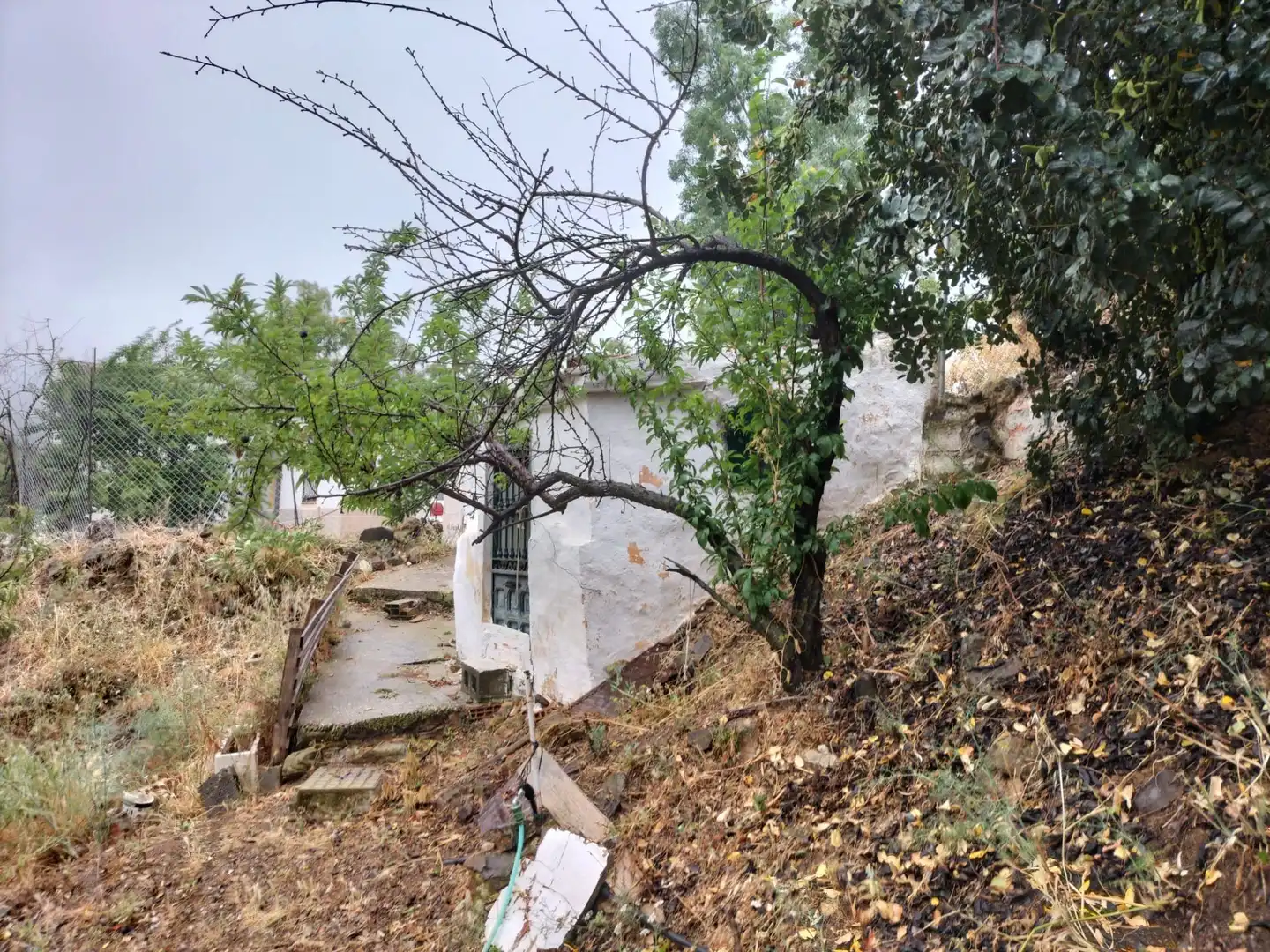 Jardín de Finca rústica en venta en Málaga