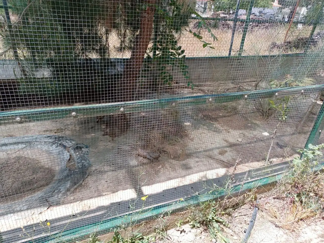 Terreni e lotti in vendita a De Cortes De Baza, imagen 72