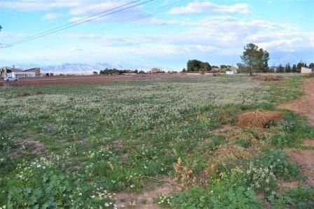 Residential for sale in Lorca