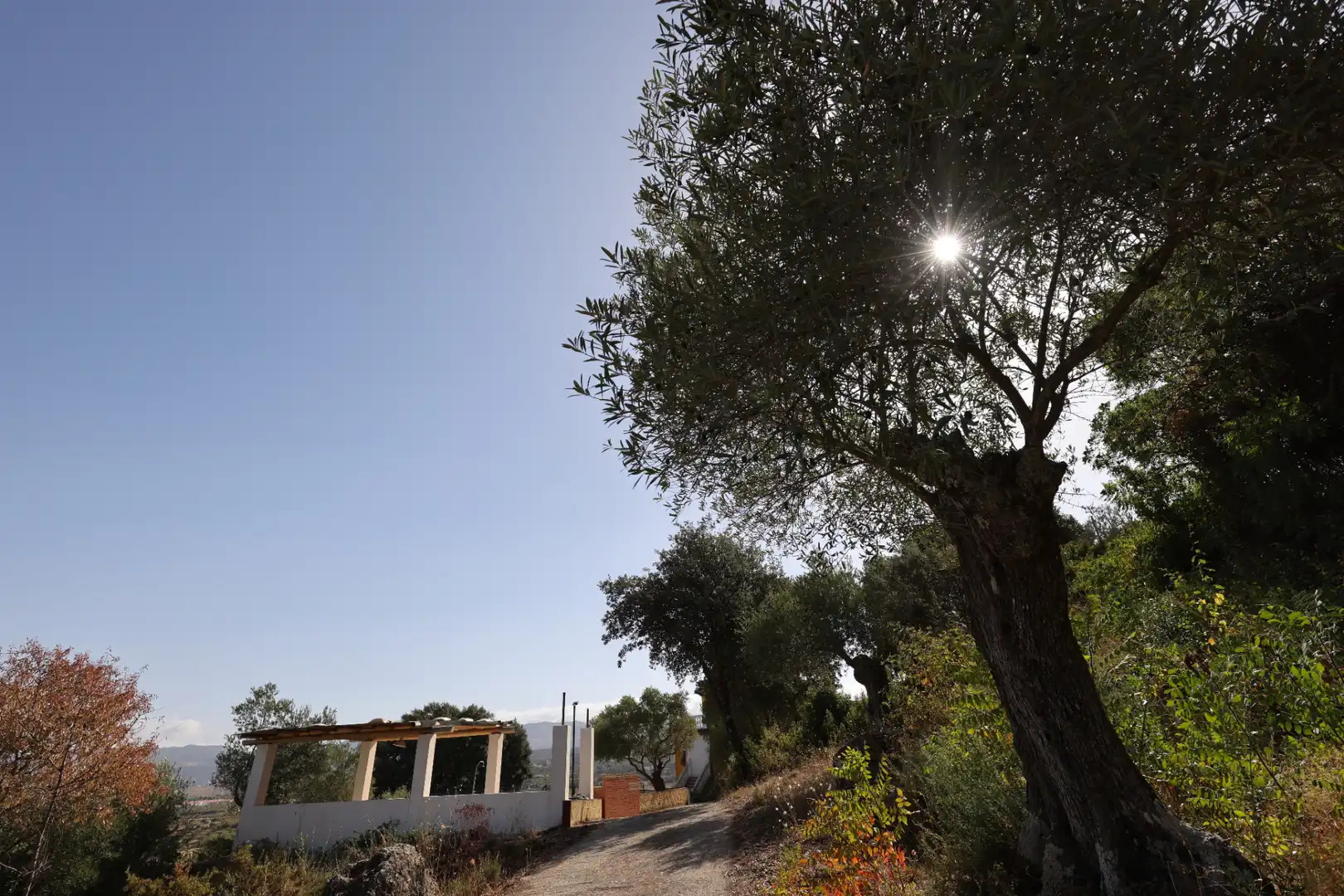 Garden of Country homes for sale in Ronda  with Private garden, Terrace and Swimming Pool