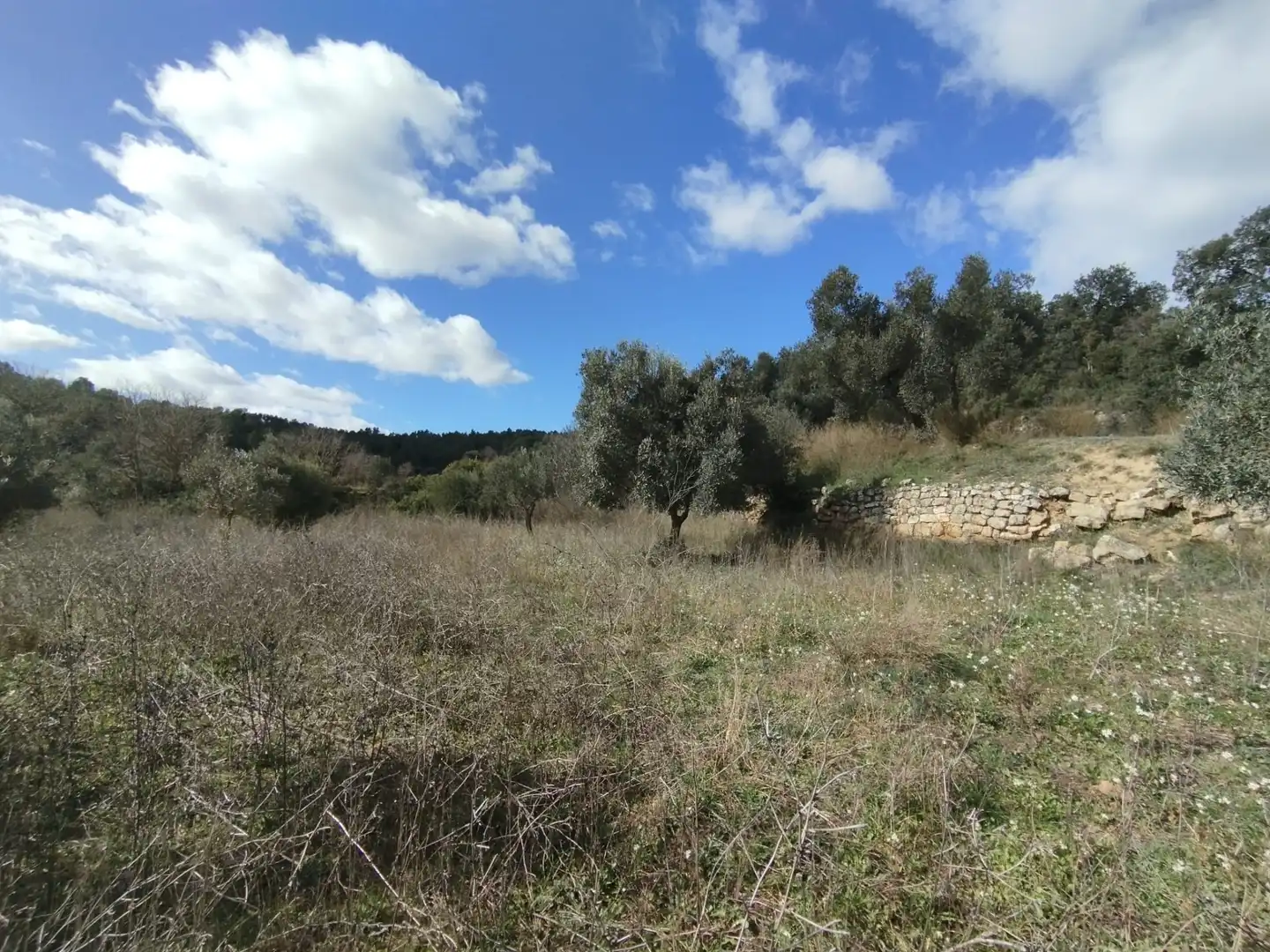 Terreni e lotti in vendita a Lledó, imagen 6