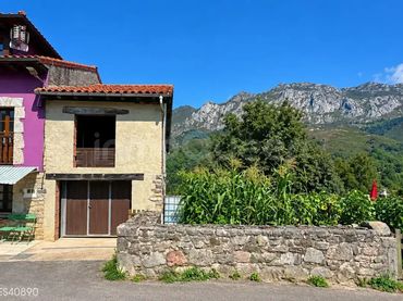 House for sale in Peñamellera Alta