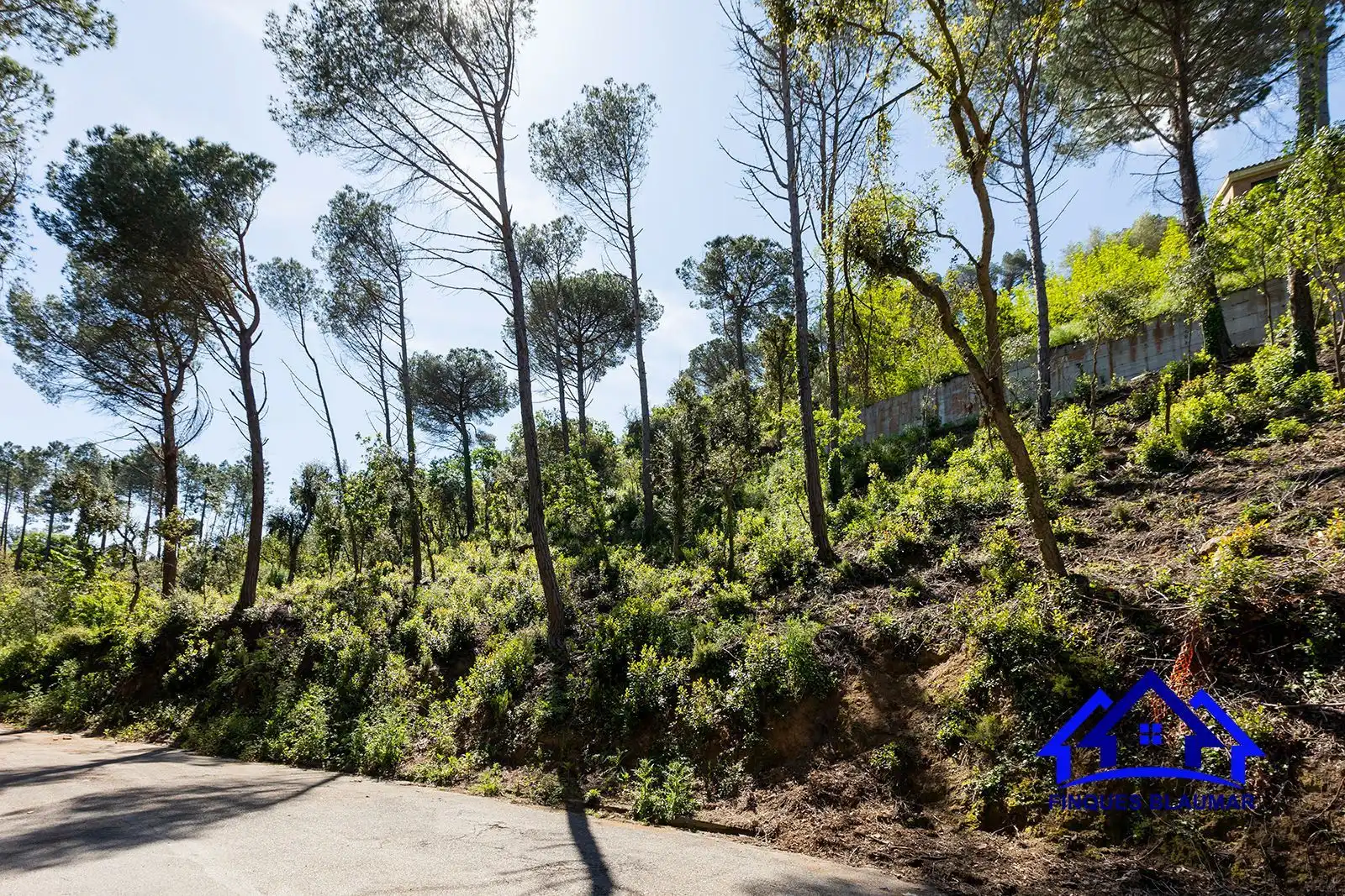 Lands and plots for sale in Vallgorguina, imagen 7