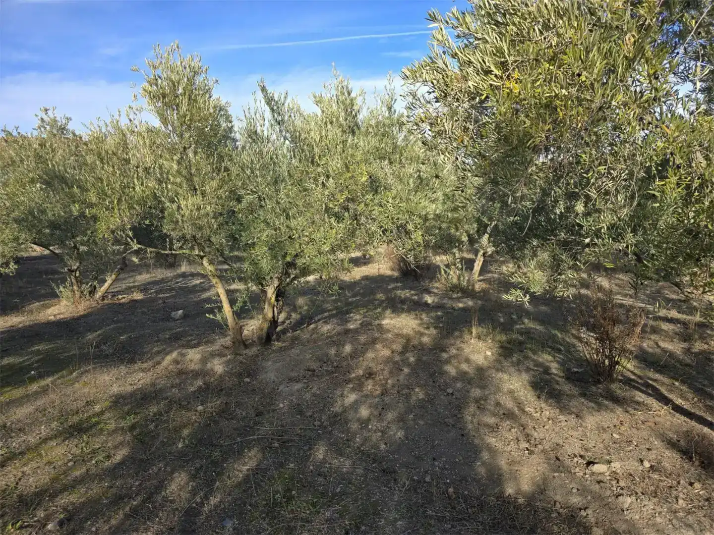 Terreno en venta en Gor, Granada