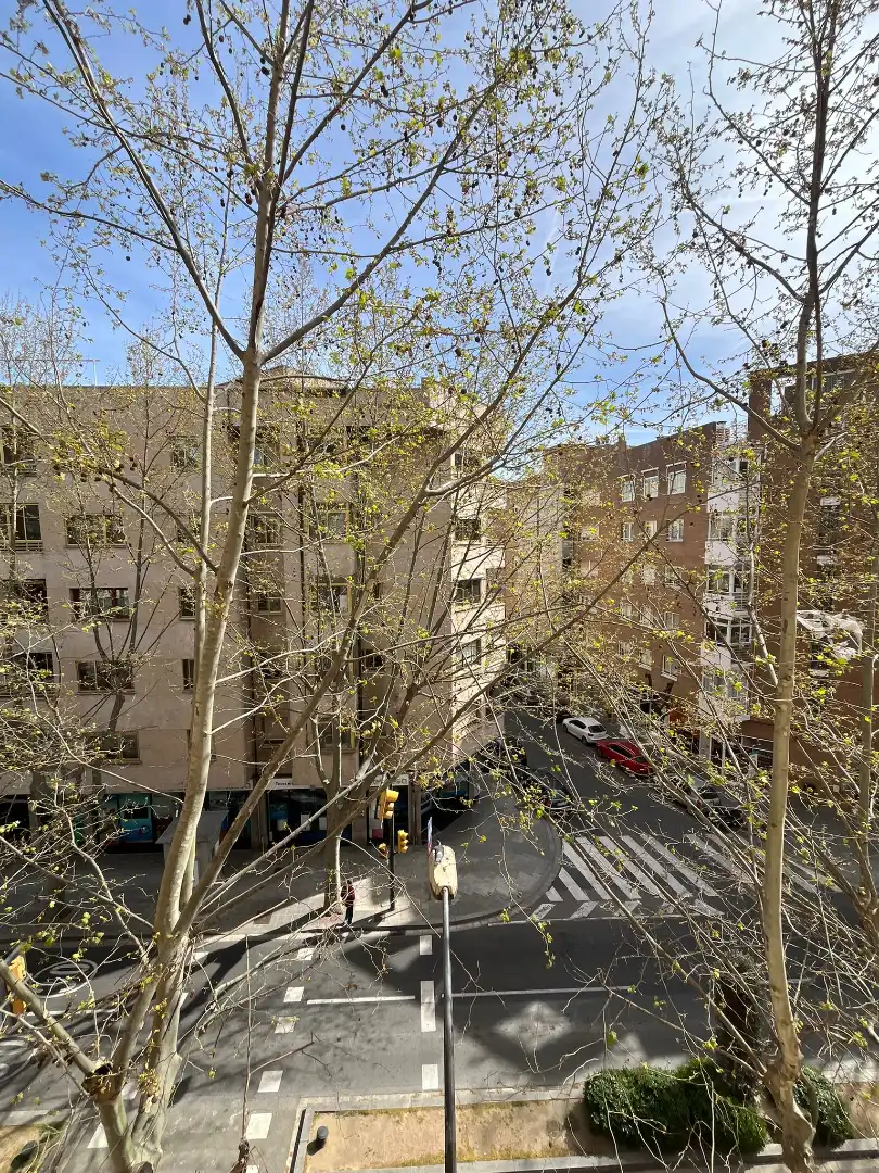 Pis amb ascensor en venda a Avinguda dels Països Catalans 111, imagen 2