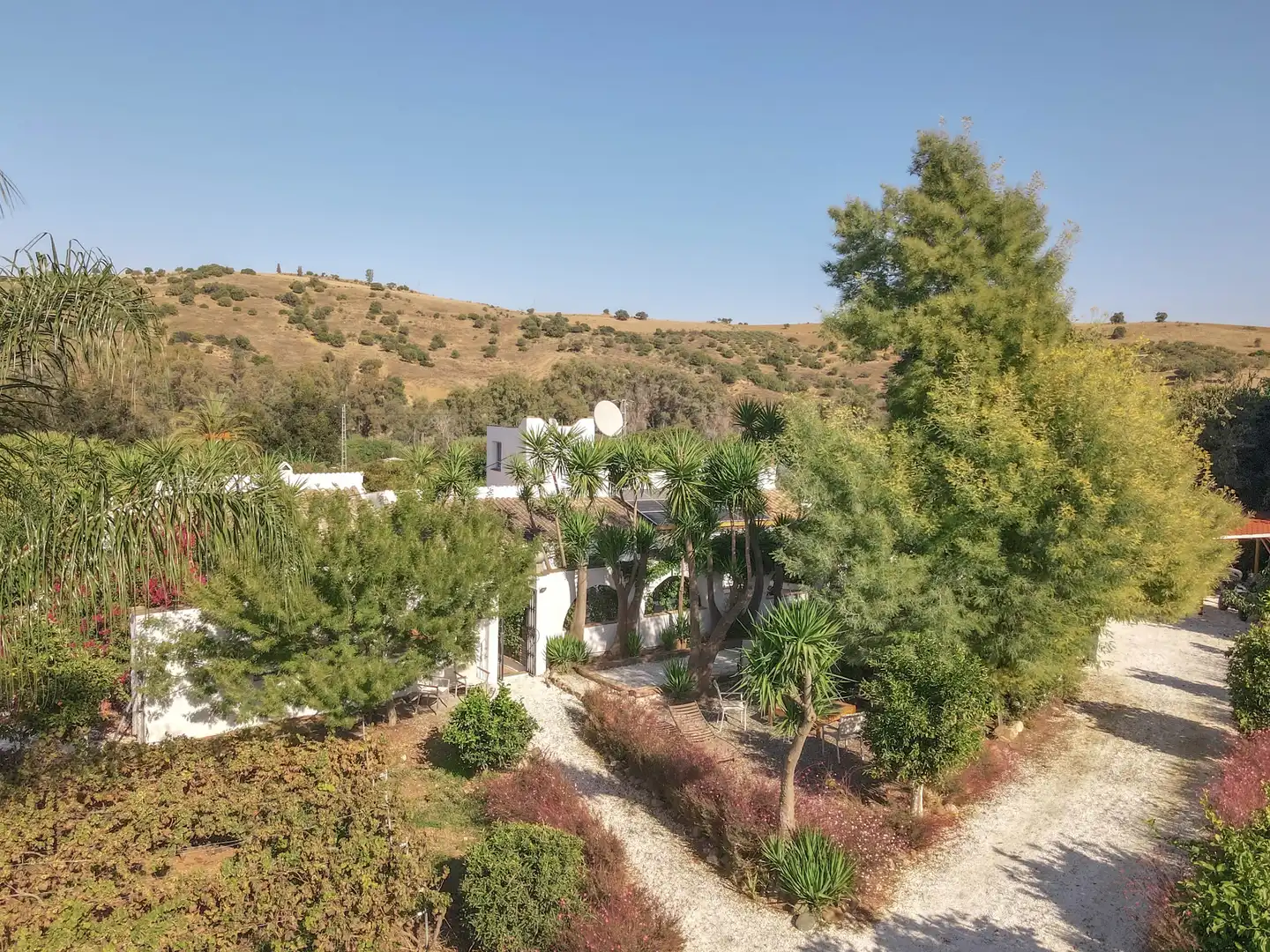 Maison avec piscine à vendre à Plaza Principe de España, imagen 61