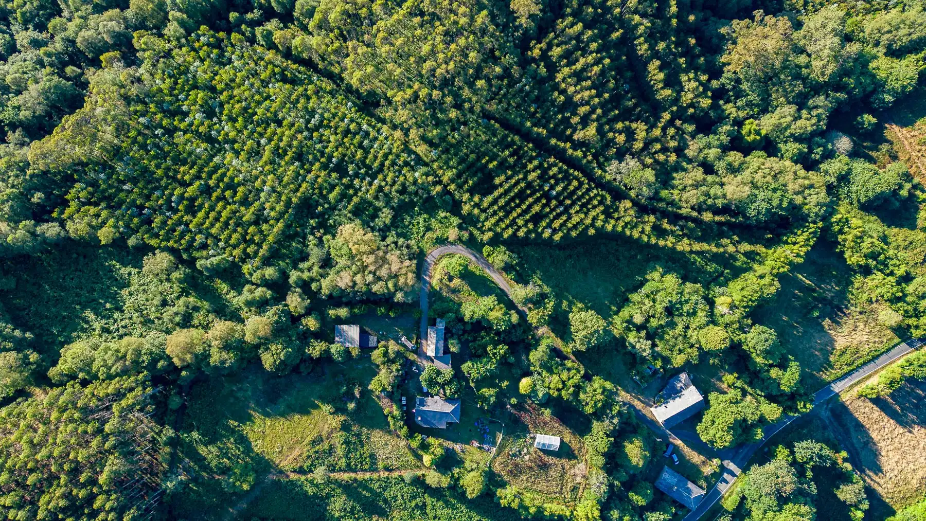 Vista exterior de Finca rústica en venda en As Somozas  amb Moblat