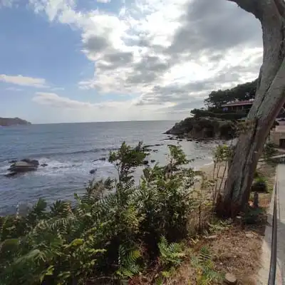 Casa o chalet en venta en Palamós con Jardín privado, Terraza y Trastero