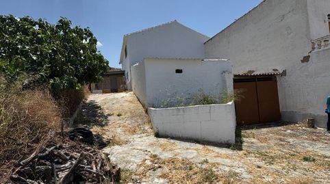 GRAN CASA ANDALUZA EN EL SABARIEGO!!, imatge 3