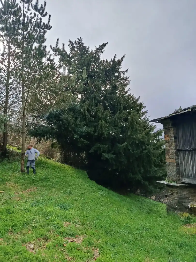 Vista exterior de Finca rústica en venda en A Pontenova   amb Jardí privat, Terrassa i Balcó