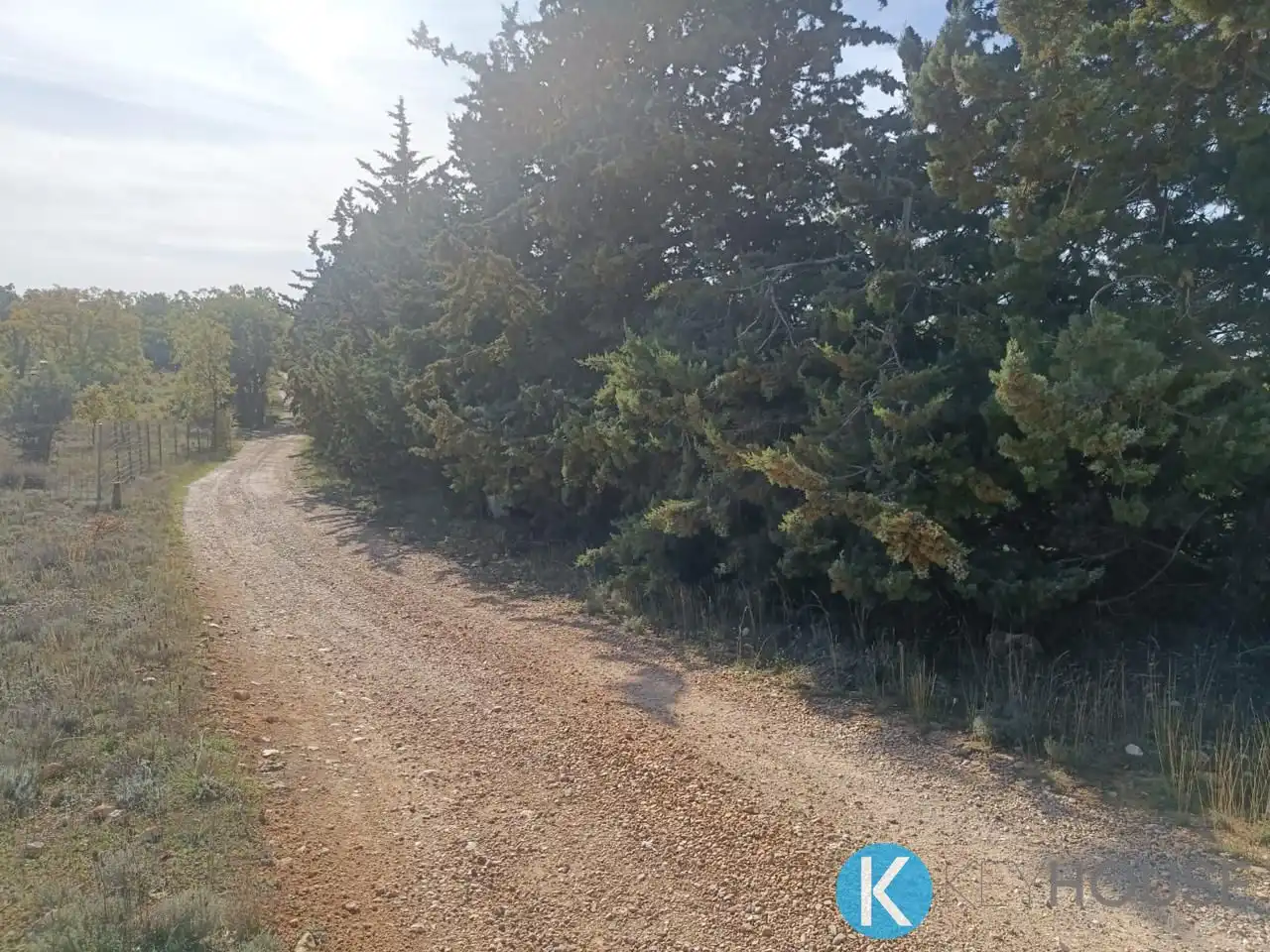 Land for sale in Pastrana
