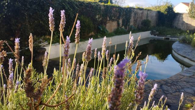 Casa-chalet en Venta en Oleiros pueblo