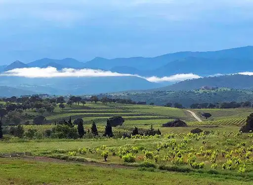 Vista exterior de Casa o xalet en venda en Sant Climent Sescebes
