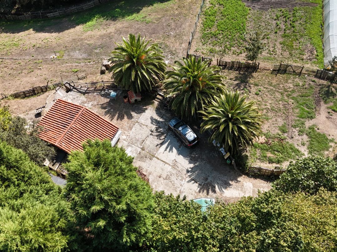 Vista exterior de Terreno en venta en Langreo