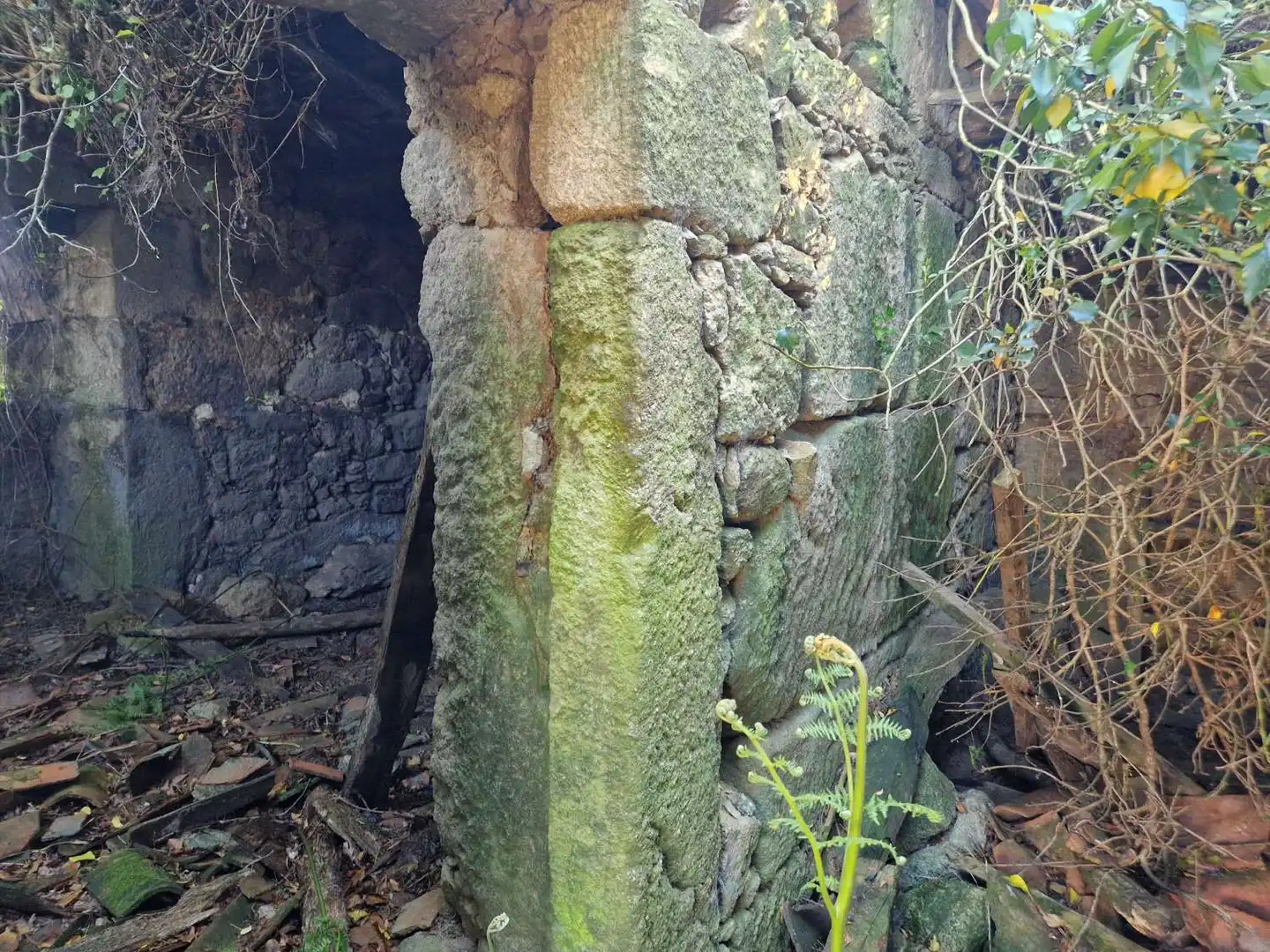 Lands and plots for sale in A Baña, imagen 14